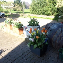 Charmehotel De stokerij te Oudenburg, West-Vlaanderen - Overnachten nabij Brugge, Oostende en De Haan